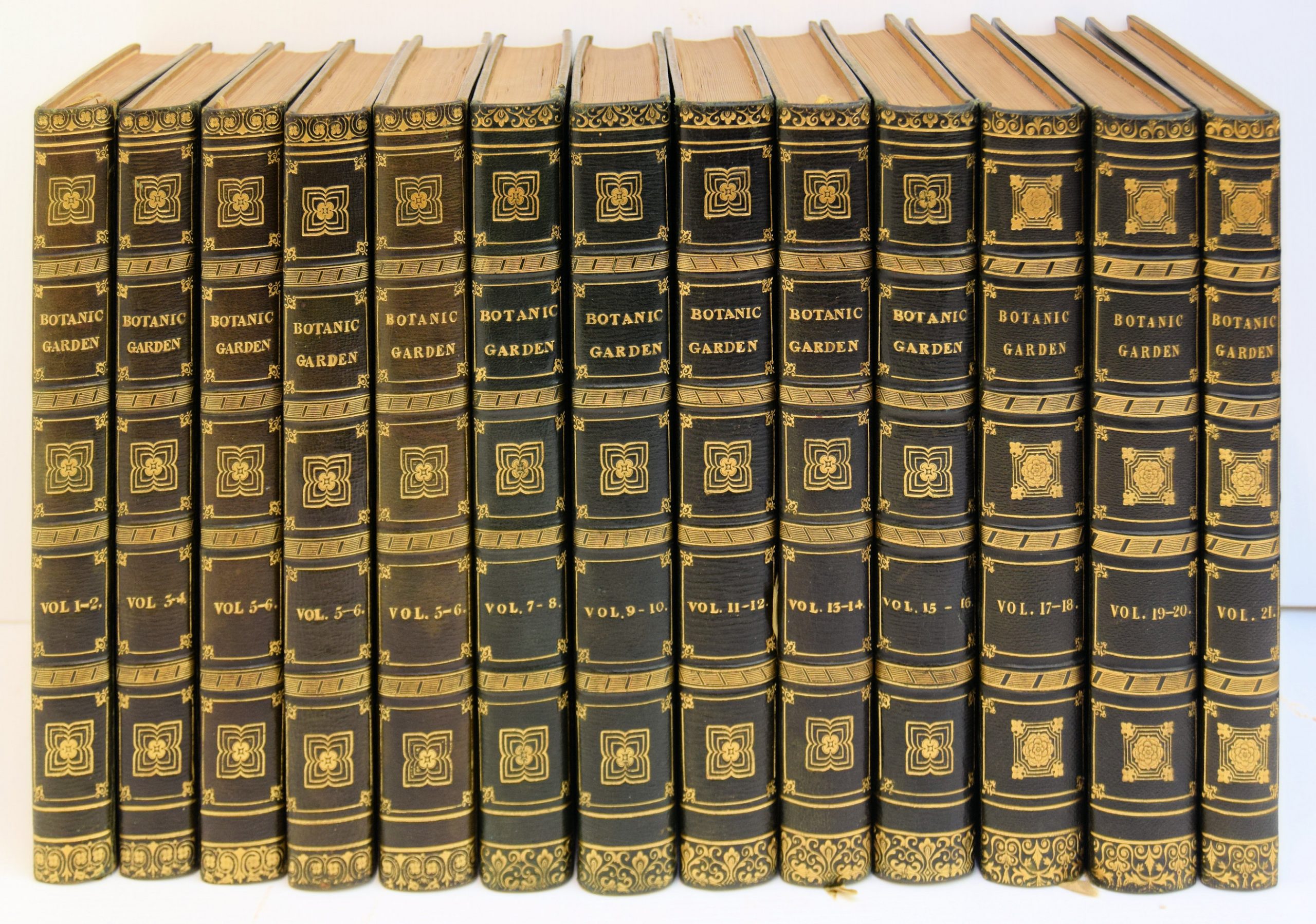 THE BOTANIC GARDEN; CONSISTING OF HIGHLY FINISHED REPRESENTATIONS OF HARDY ORNAMENTAL FLOWERING PLANTS CULTIVATED IN GREAT BRITAIN;