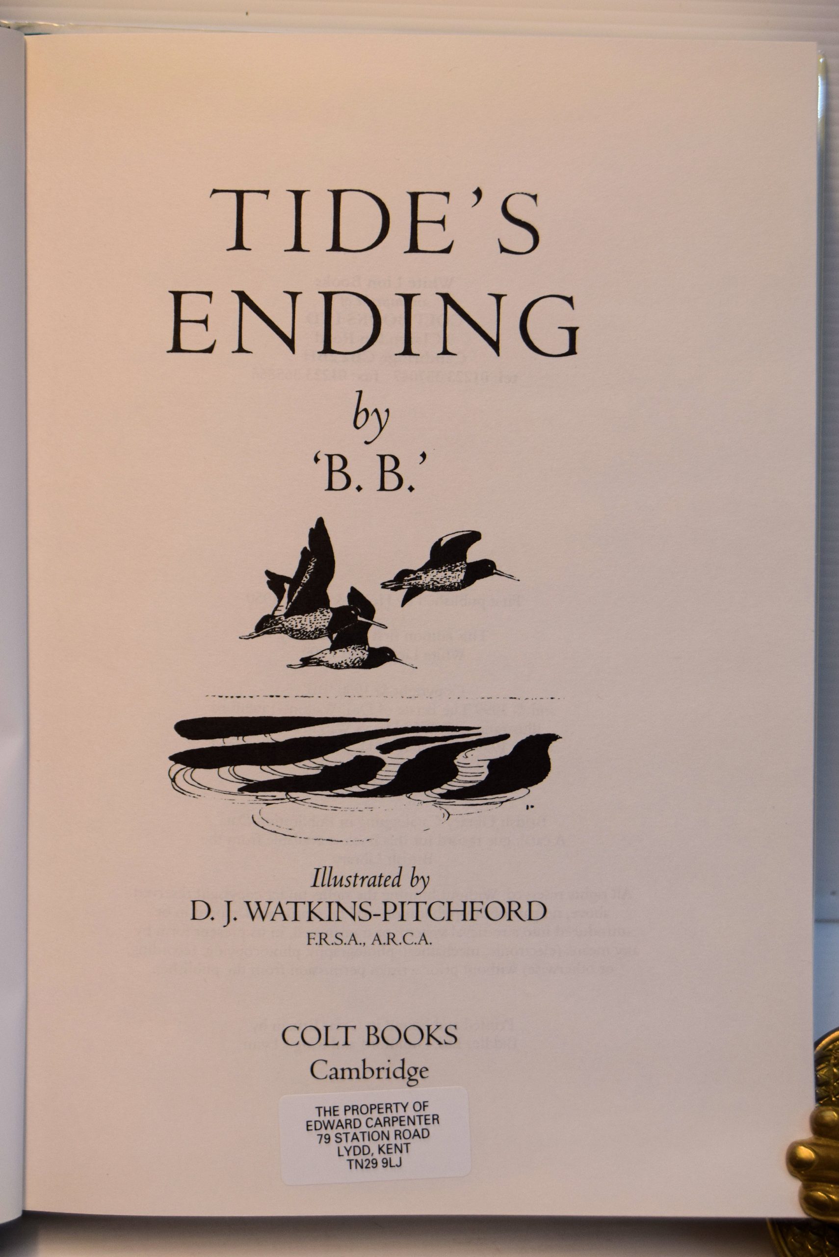 TIDES ENDING. - Image 2