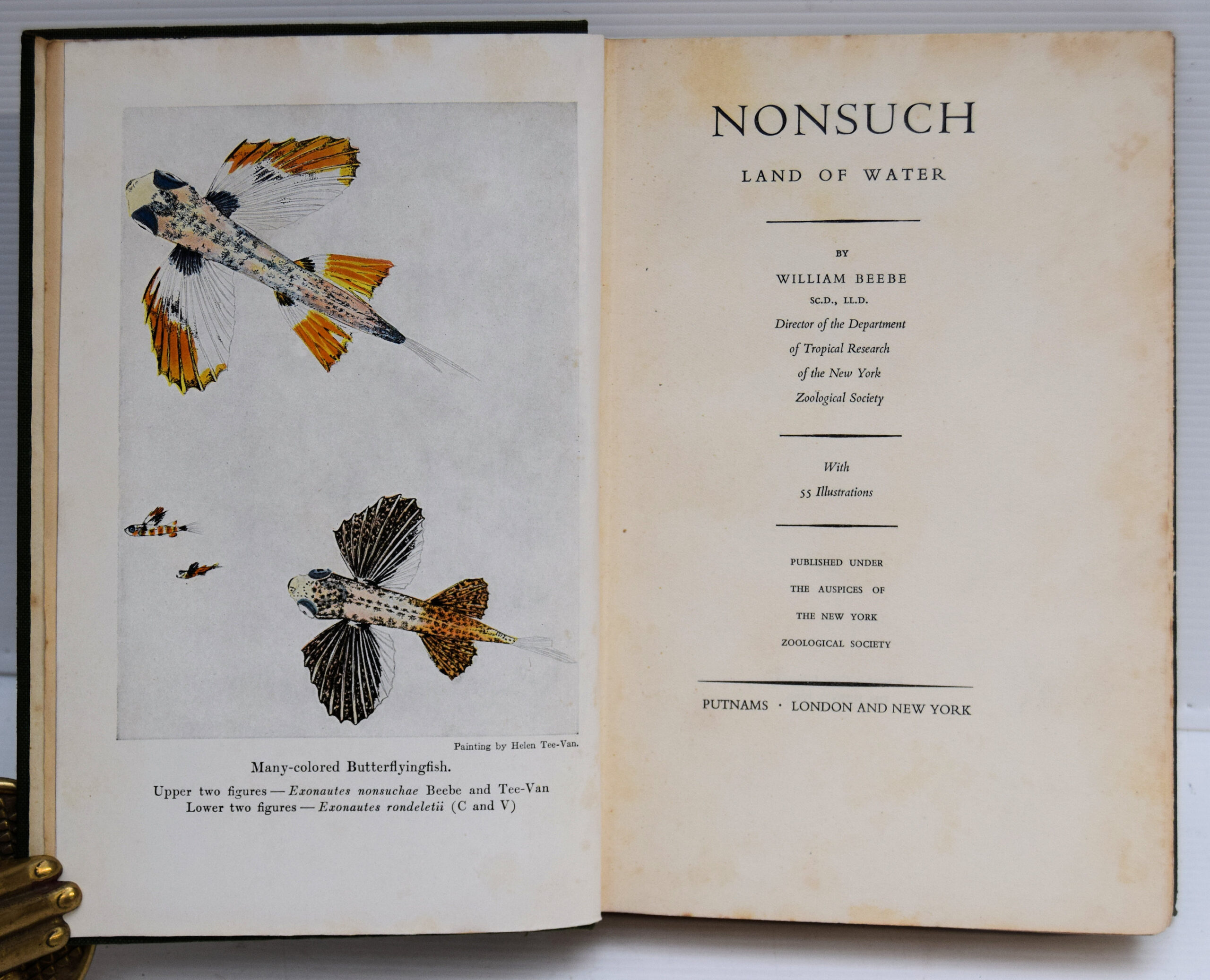 NONSUCH LAND OF WATER. - Image 2