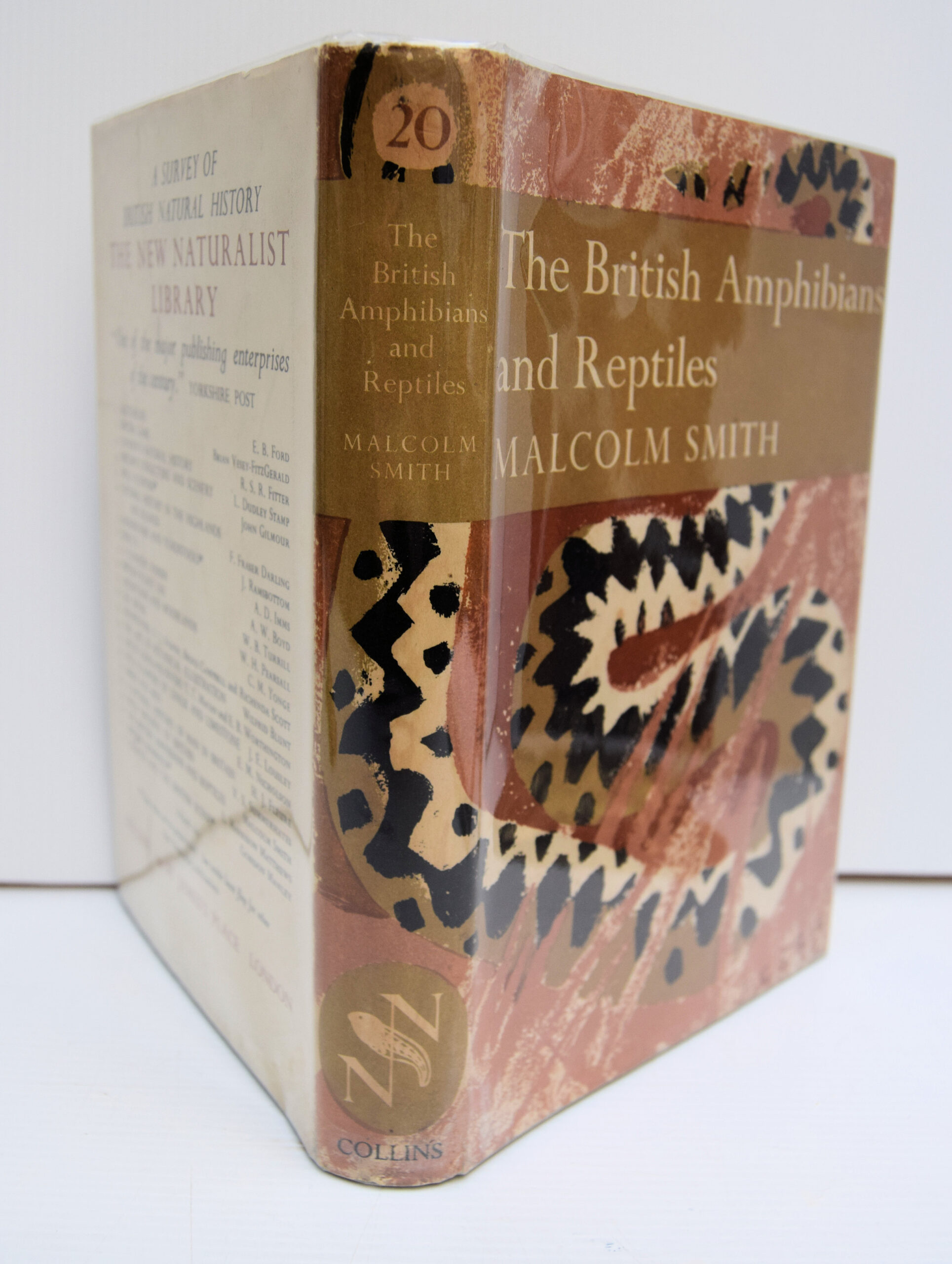 THE BRITISH AMPHIBIANS AND REPTILES.