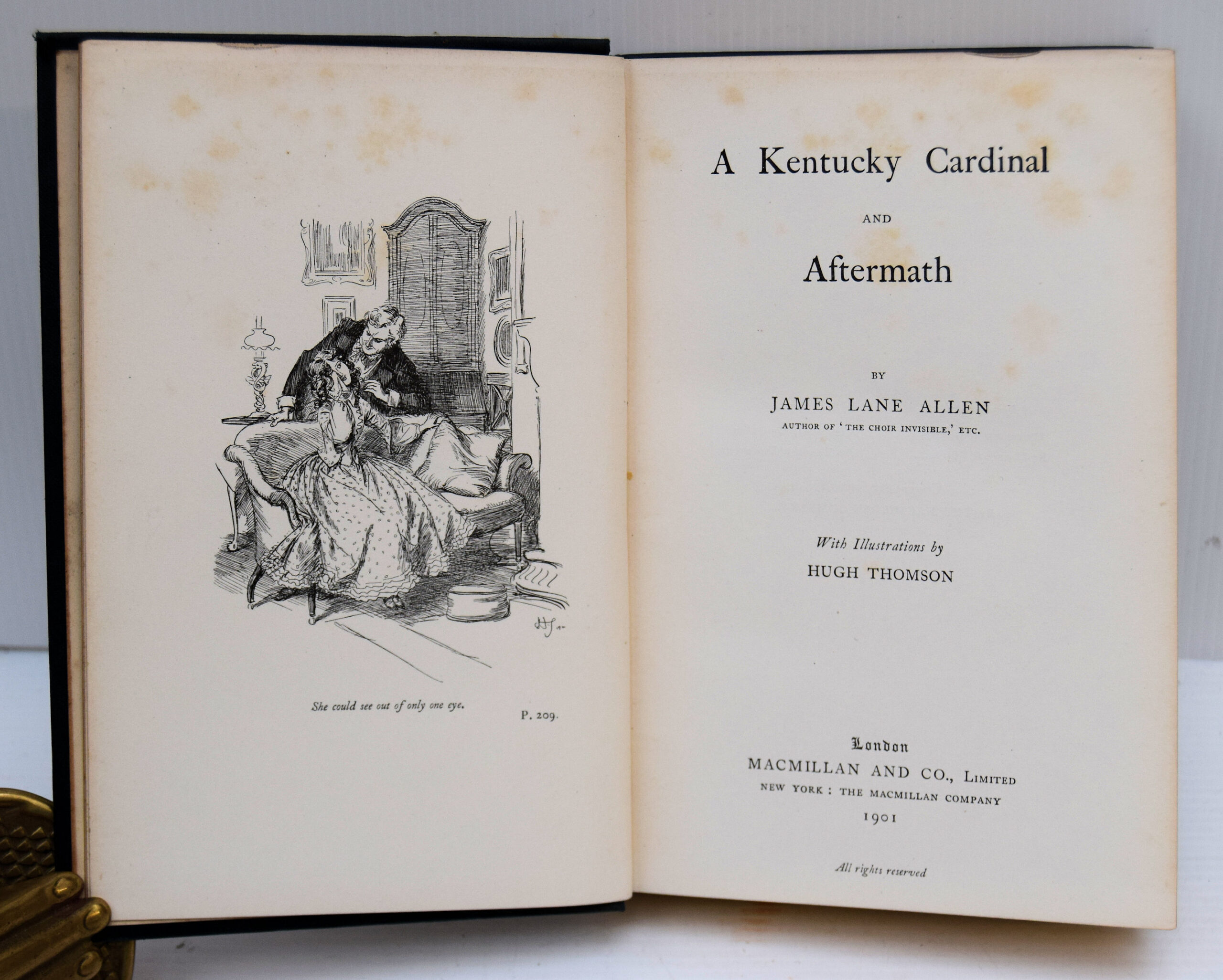 A KENTUCKY CARDINAL AND AFTERMATH. - Image 2
