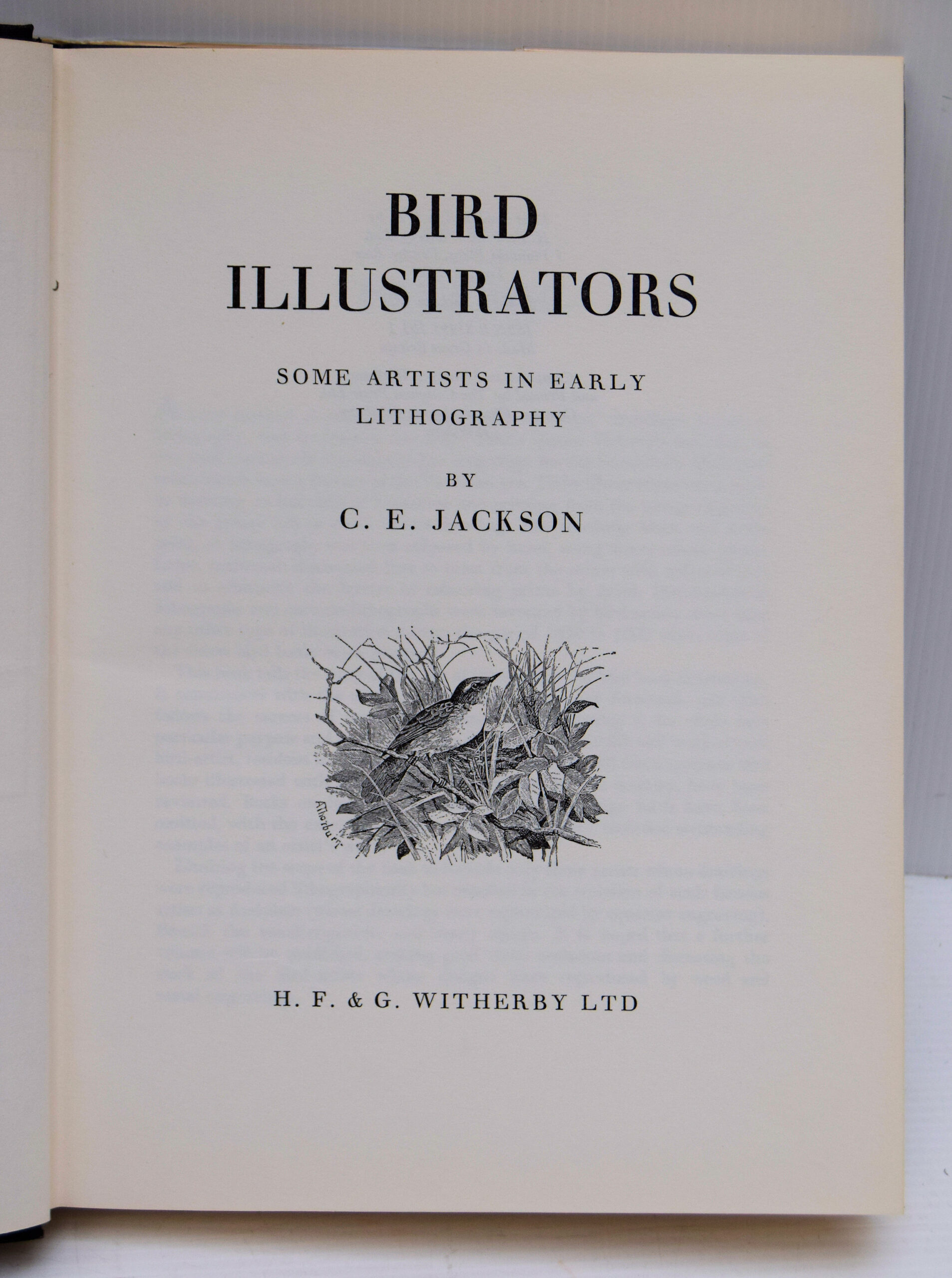 BIRD ILLUSTRATORS. - Image 2