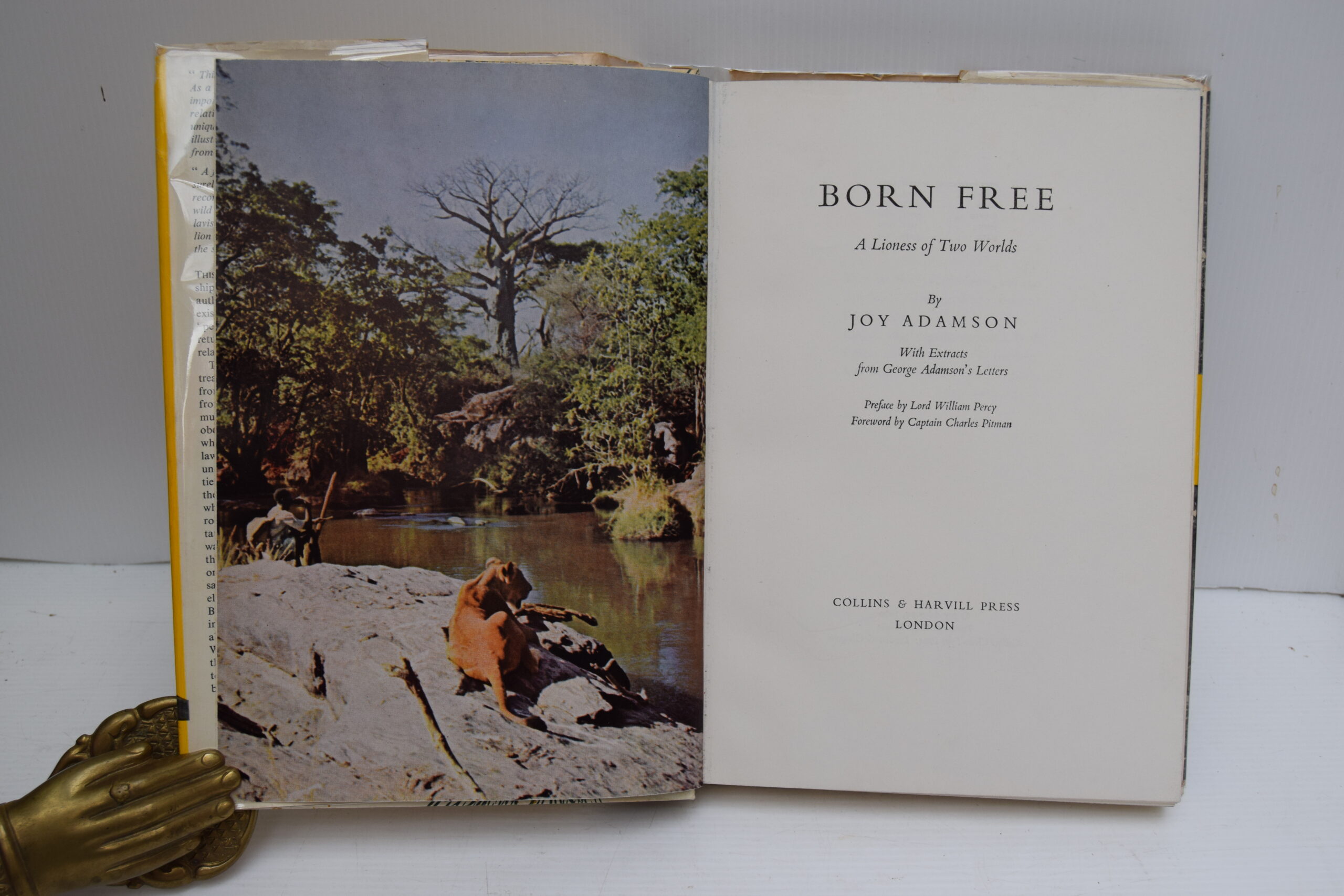 BORN FREE. - Image 2