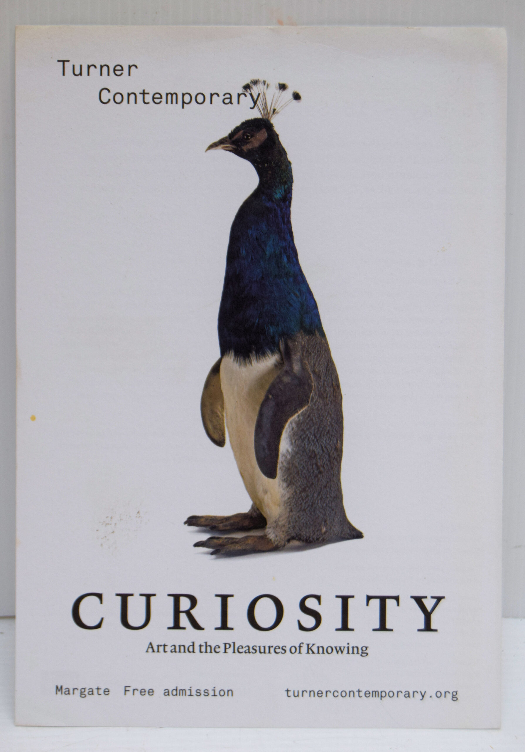 CURIOSITY: - Image 5