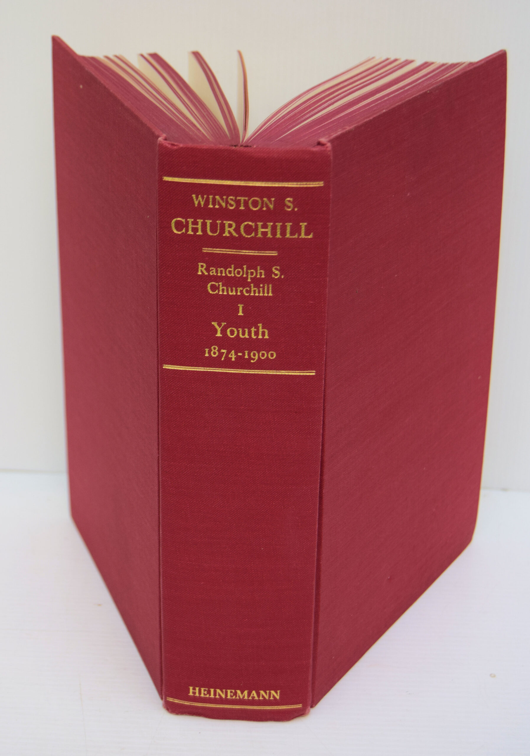 The Official Biography: FIRST ENGLISH EDITION - Image 2