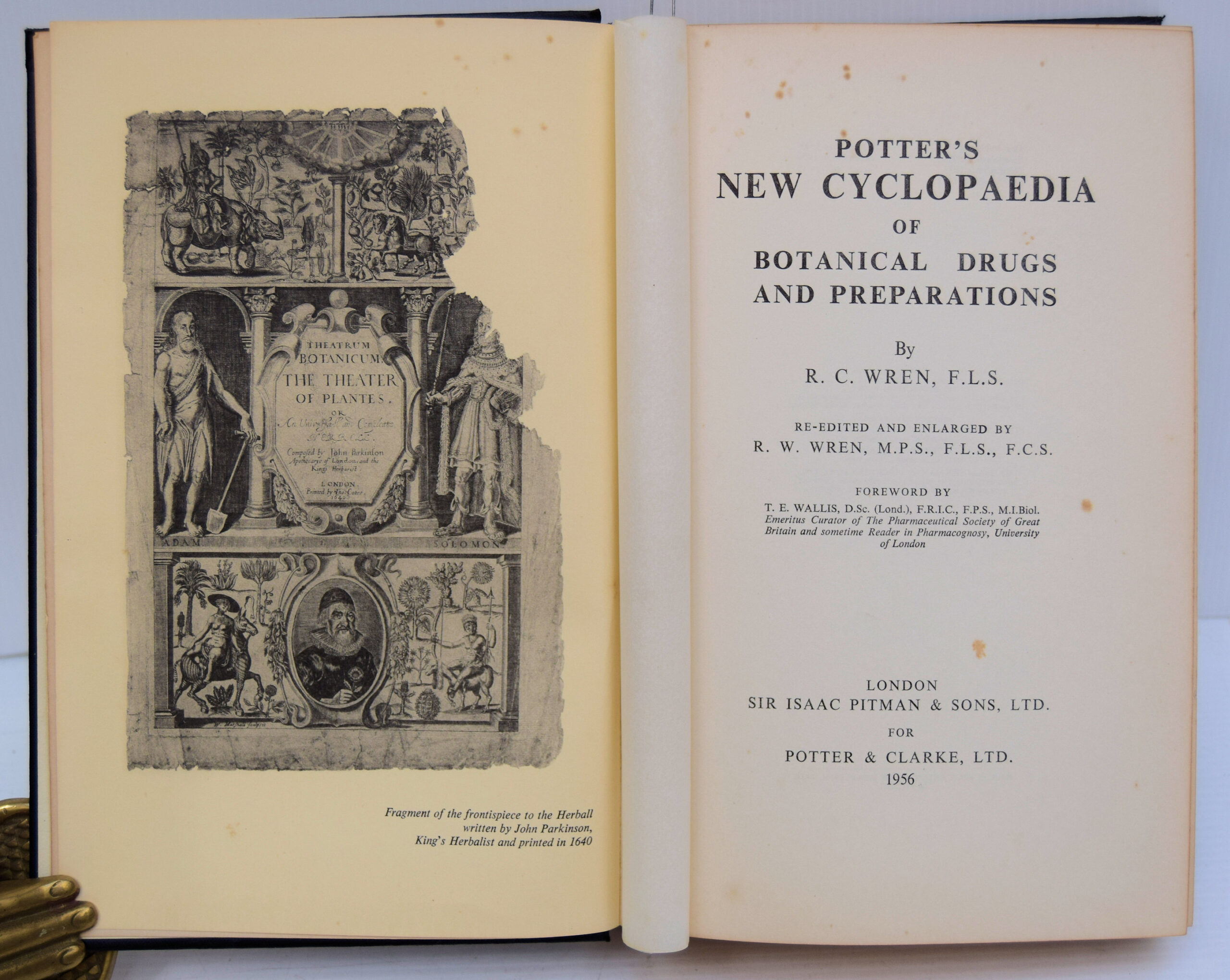 Potter's New Cyclopaedia of Botanical Drugs and Preparations. - Image 2