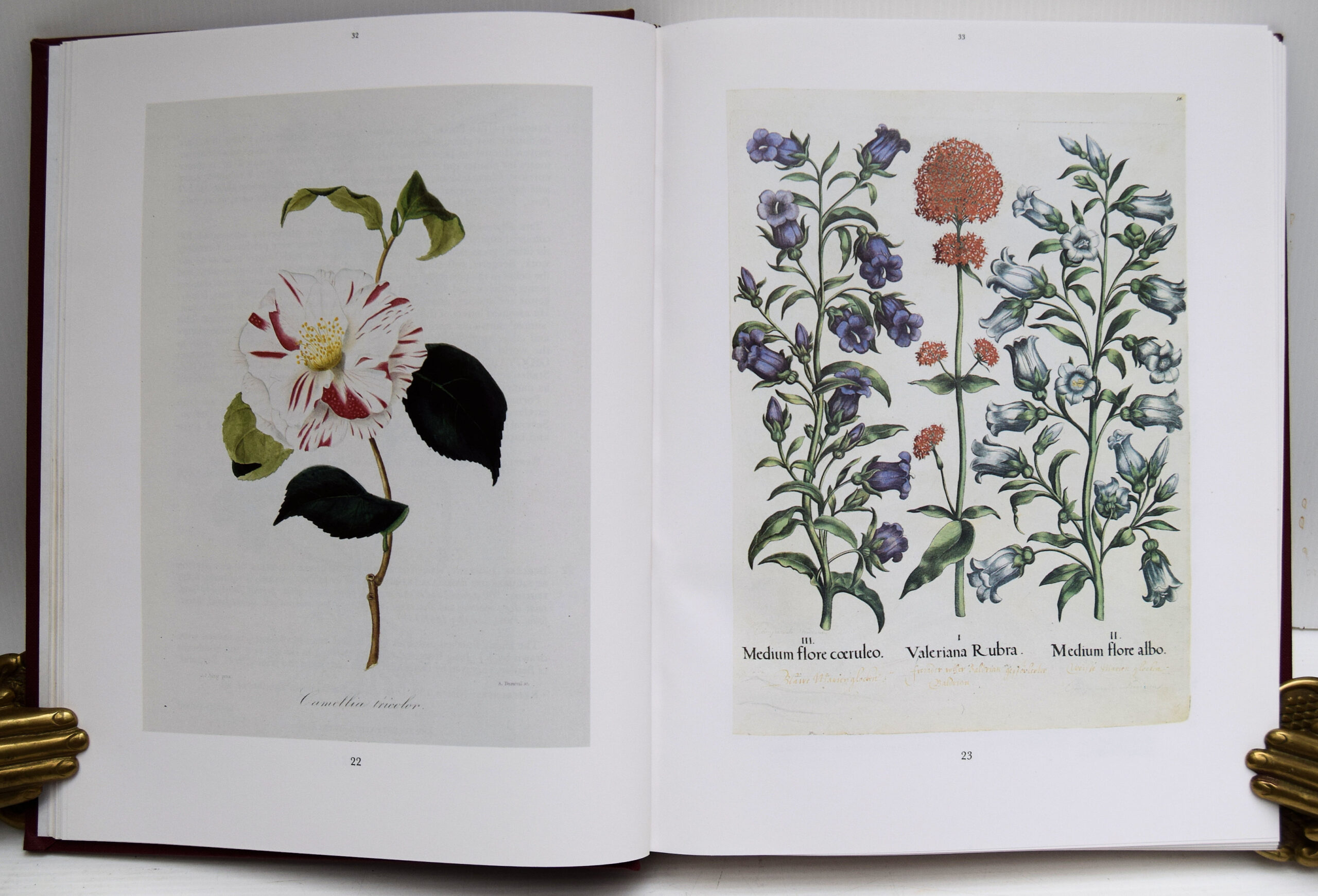 Botanical books Catalogue - Image 4