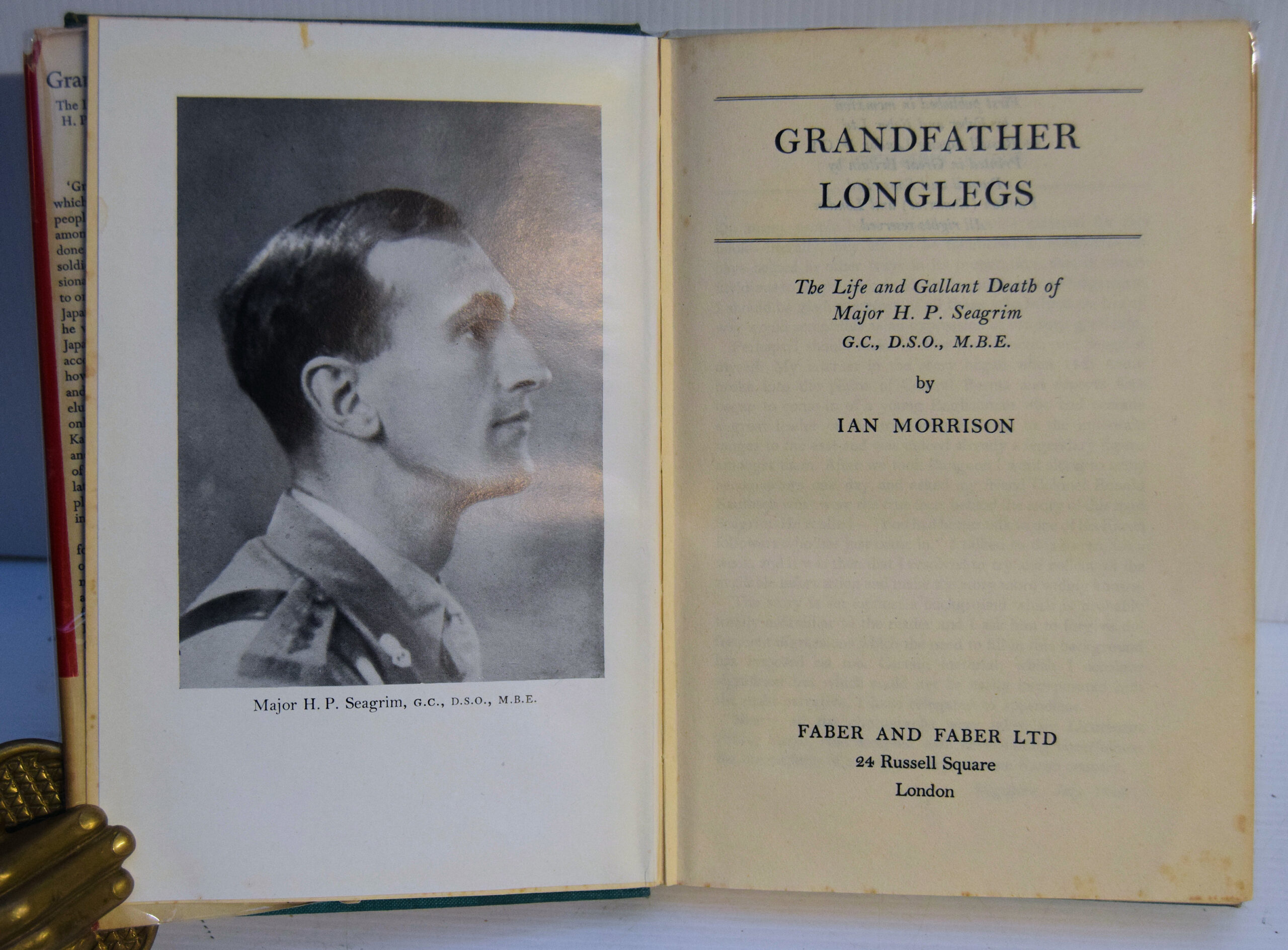 GRANDFATHER LONGLEGS - Image 2