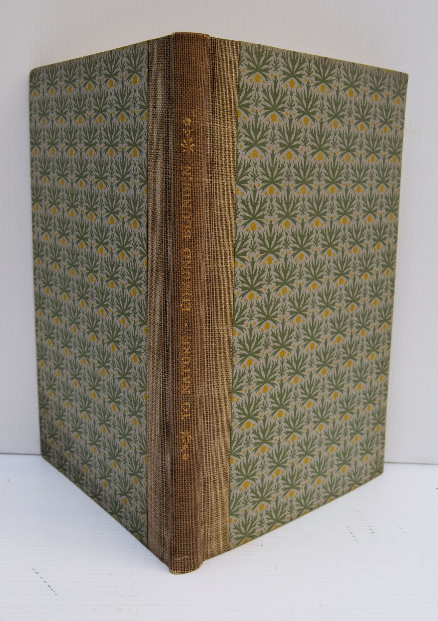 TO NATURE NEW POEMS BY EDMUND BLUNDEN.