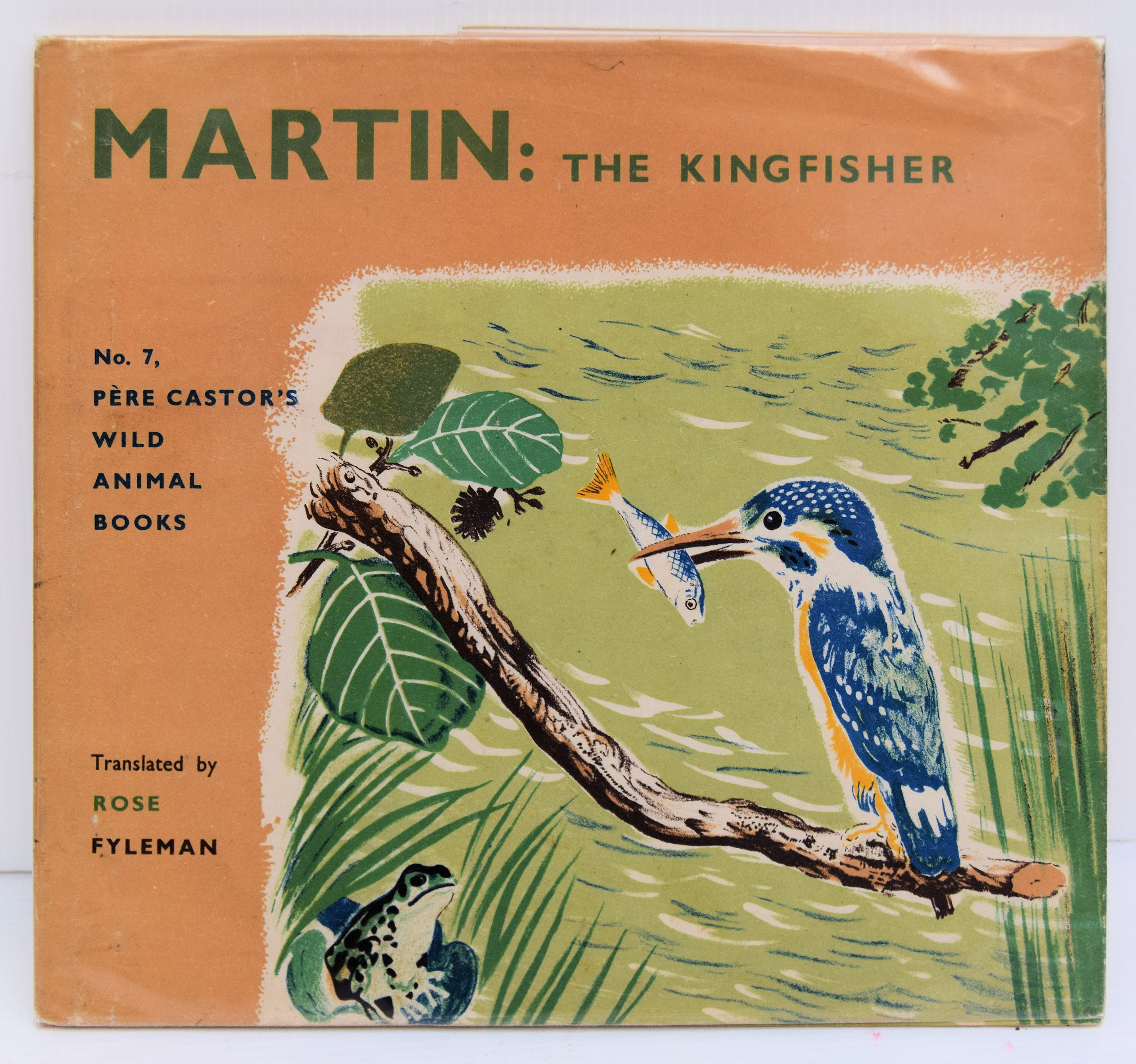 MARTIN THE KINGFISHER.