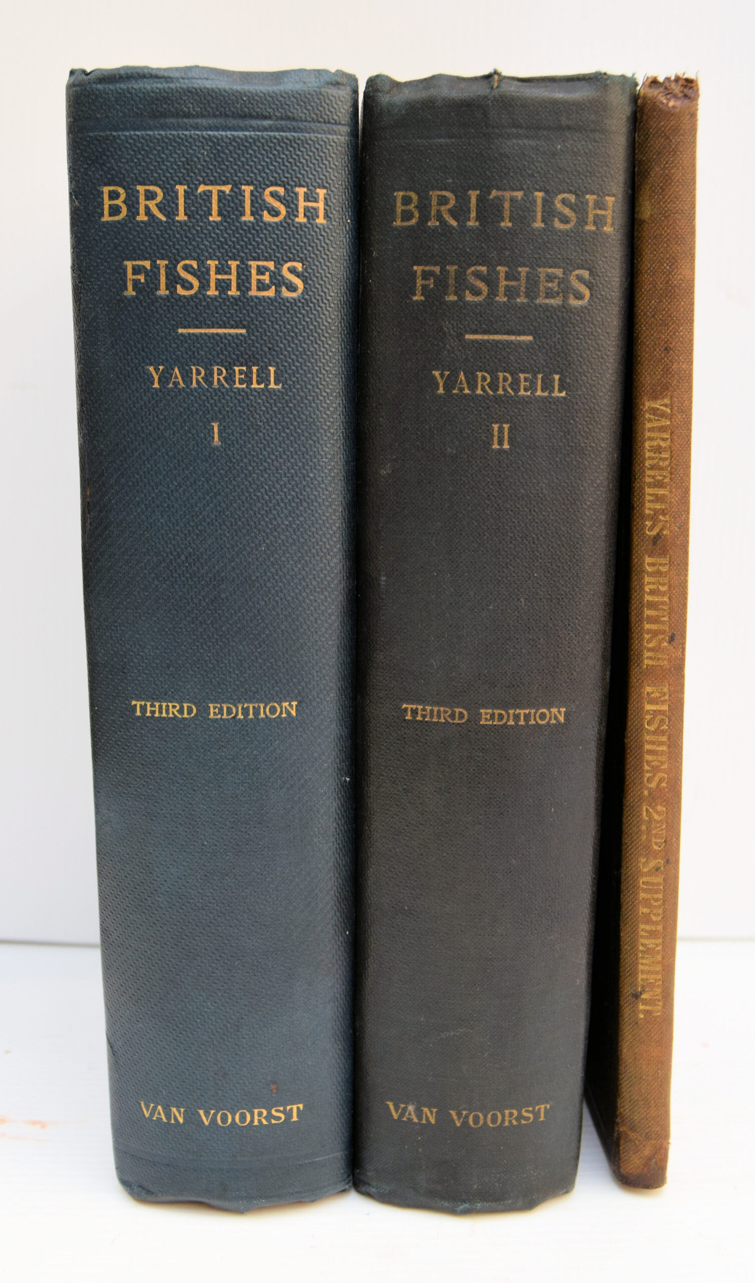 A HISTORY OF BRITISH FISHES.