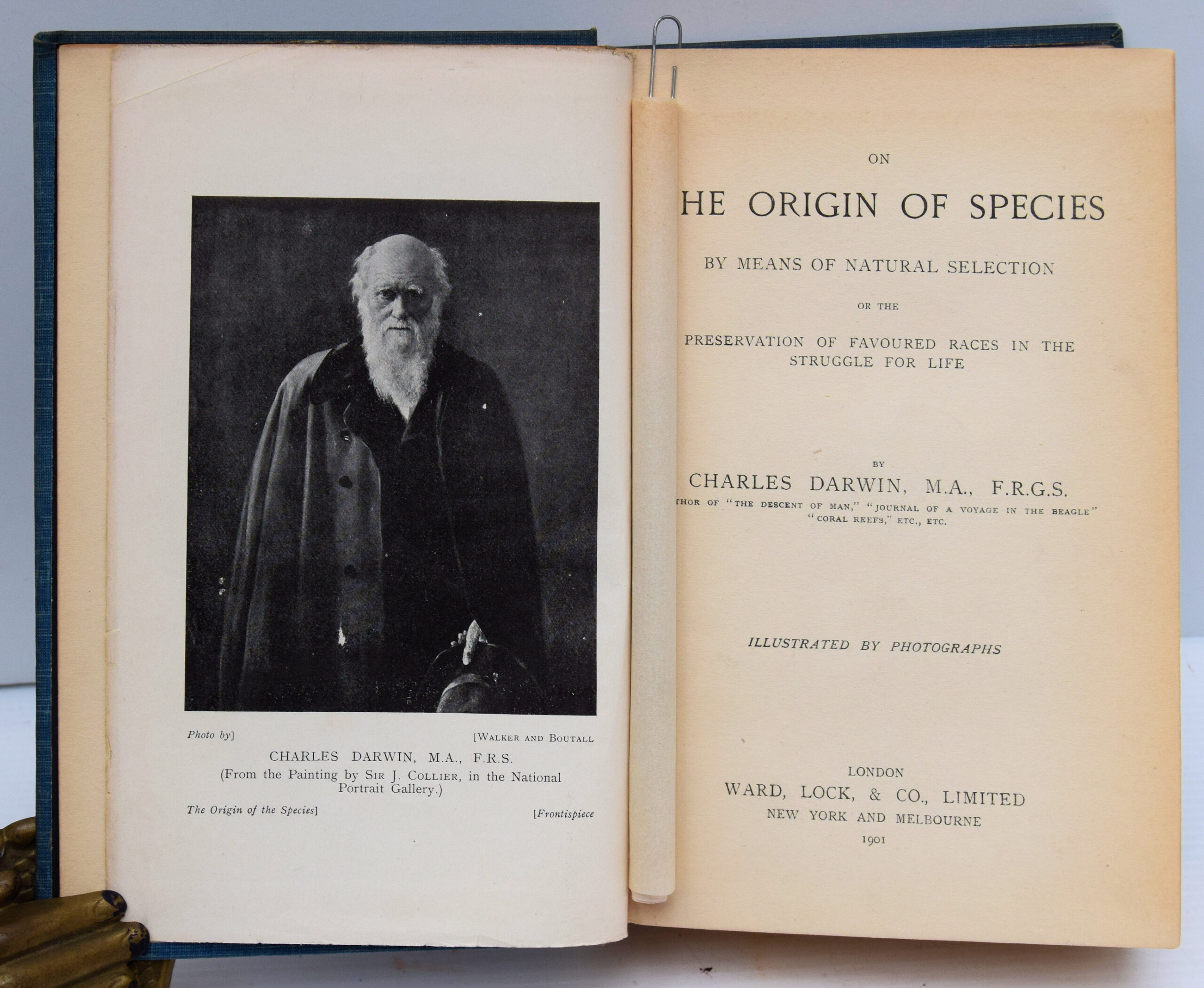 ON THE ORIGIN OF SPECIES BY MEANS OF NATURAL SELECTION. - Image 2