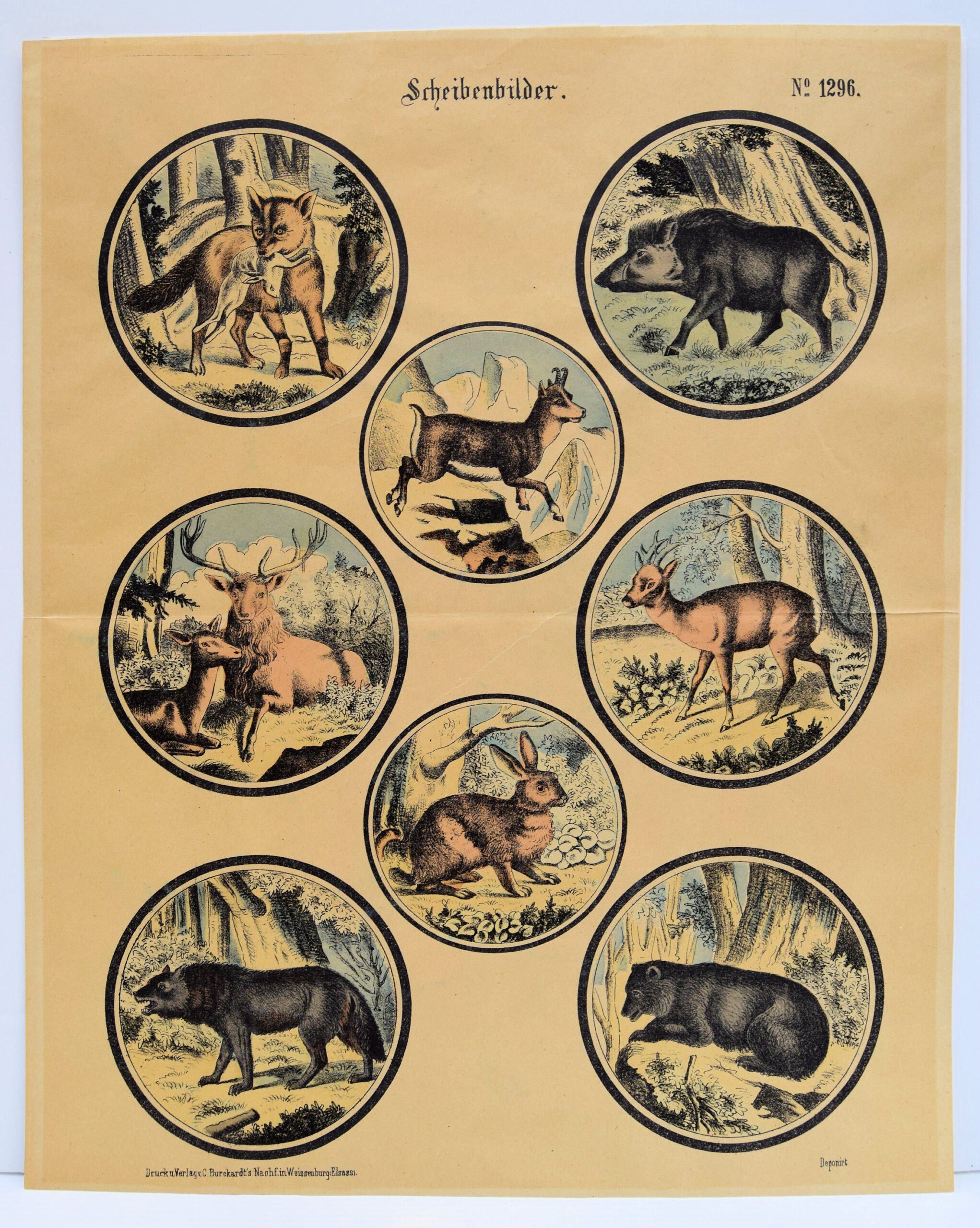 11 stencil-coloured Lithographs. - Image 8