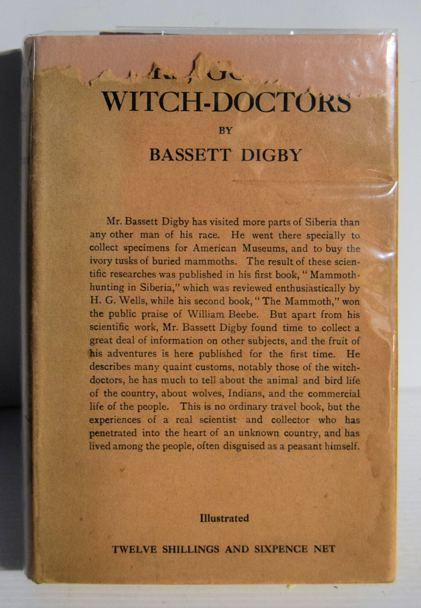 TIGERS, GOLD AND WITCH-DOCTORS. - Image 2