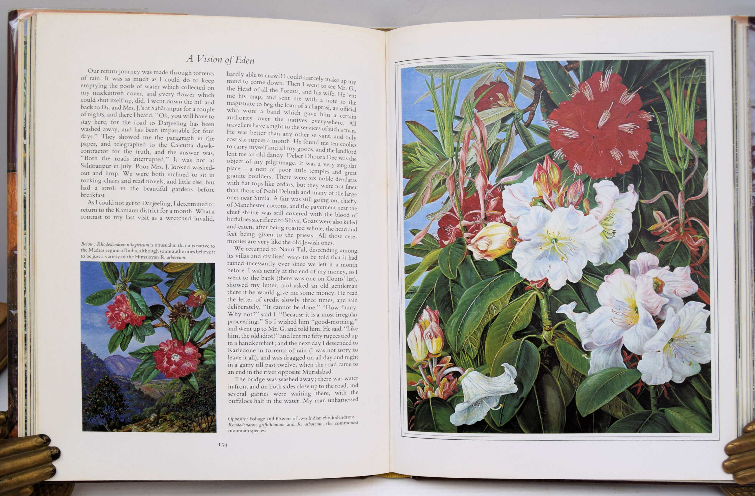 A VISION OF EDEN. THE LIFE AND WORK OF MARIANNE NORTH. - Image 3