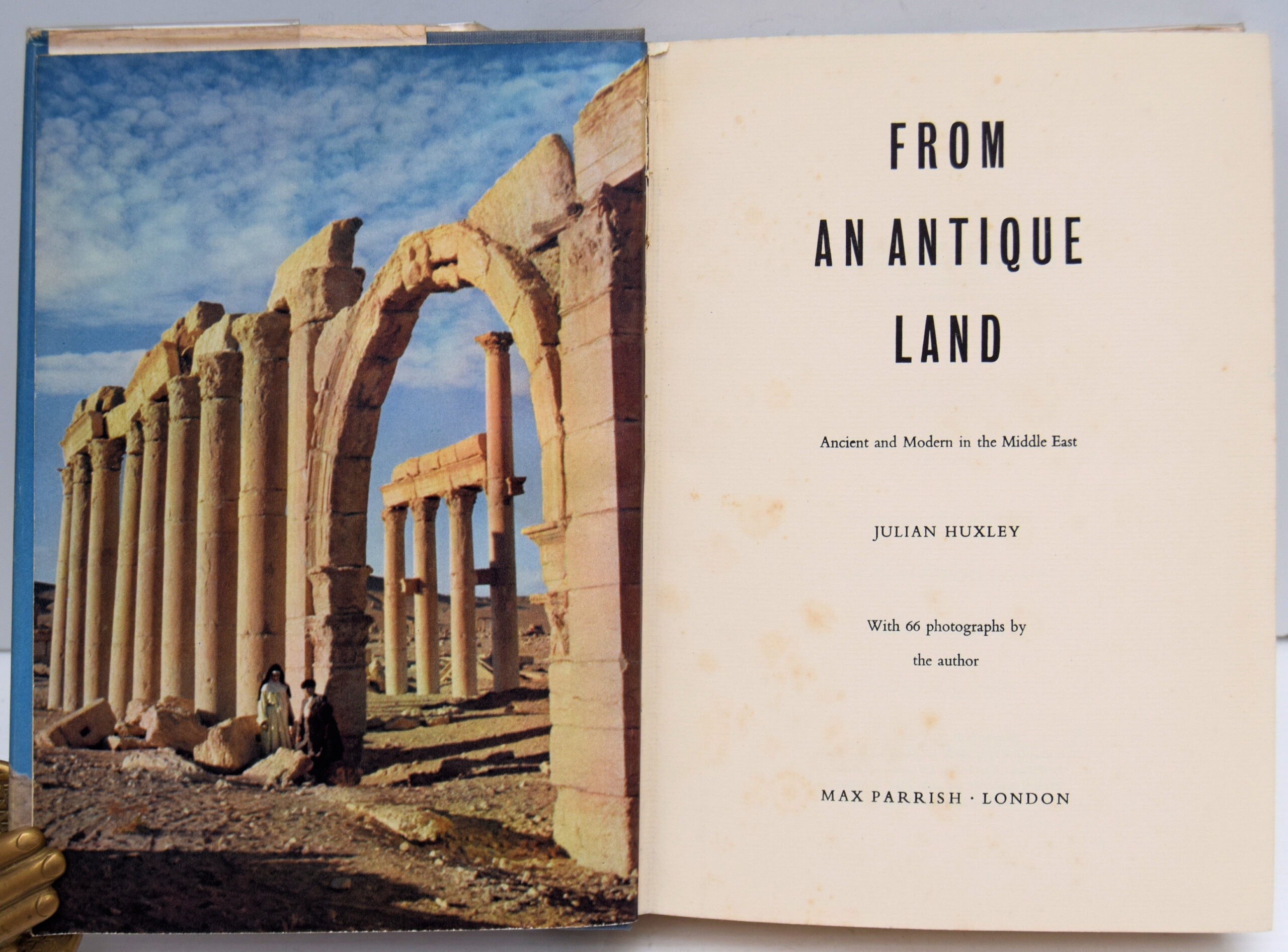 FROM AN ANTIQUE LAND. - Image 2