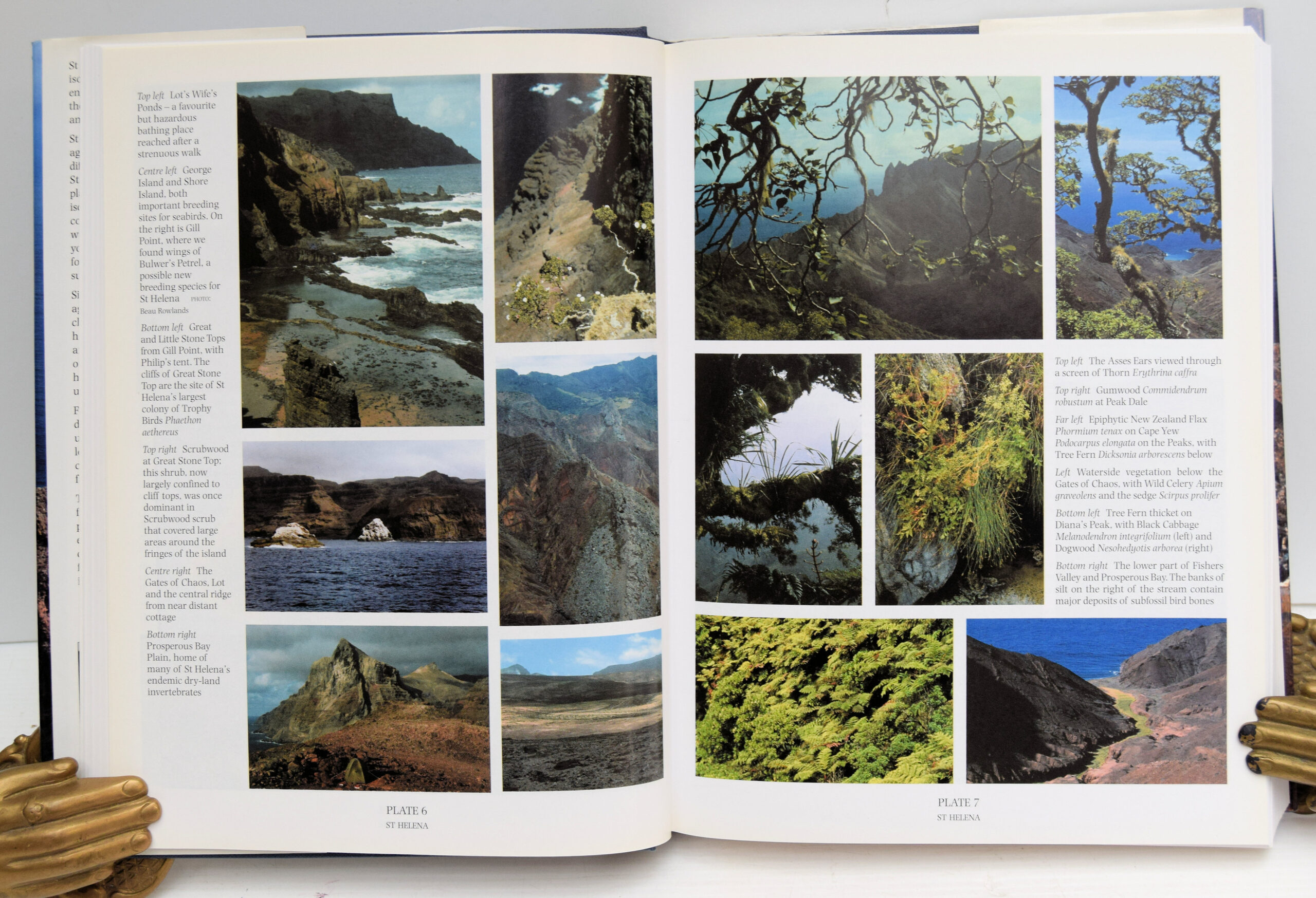 ST HELENA AND ASCENSION ISLAND: A NATURAL HISTORY. - Image 3