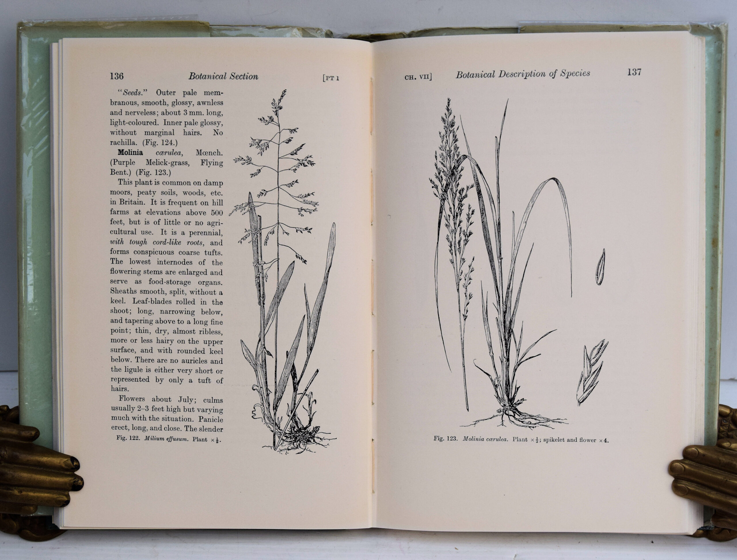 BRITISH GRASSES AND THEIR EMPLOYMENT IN AGRICULTURE. - Image 3