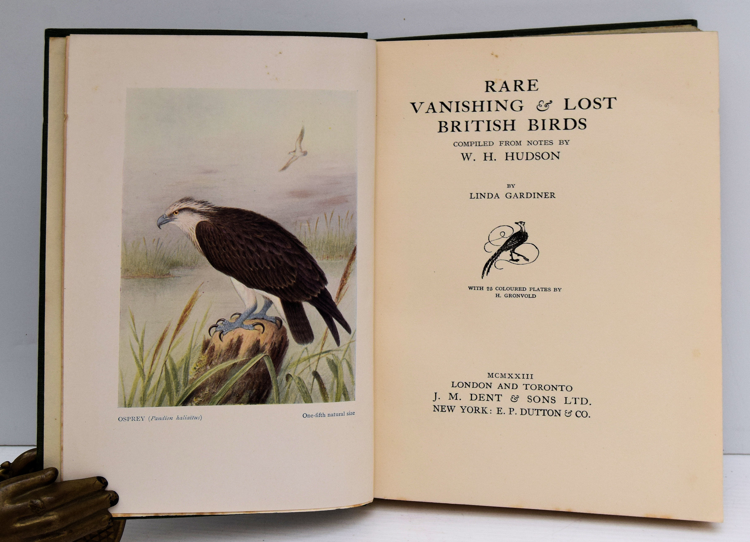 RARE VANISHING AND LOST BRITISH BIRDS.